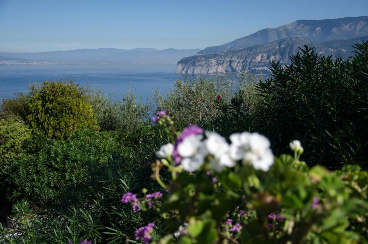 Grand Hotel Aminta Sorrento Exterior photo